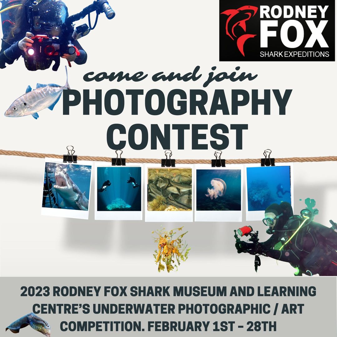 photographic/Art Competition