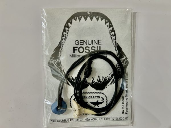 Medium shark tooth necklace